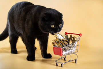Black cat with a shopping basket filled with fish.