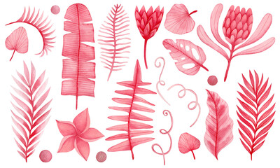 Watercolor set of pink tropical leaves.