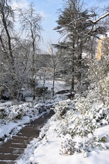 Rennes, Thabor, parc, neige