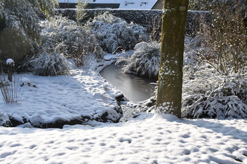 Rennes, Thabor, parc, neige