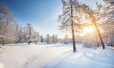 Panorama of beautiful winter park