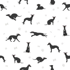Whippet seamless pattern.  Different poses, coat colors set.