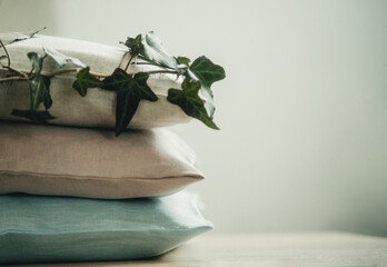 set of pillows on a light background