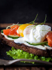 sandwich with salmon