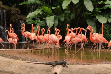 Naklejka premium bird