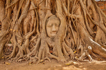 Ayutthaya Buddha Head in Tree Roots, Buddhist temple Wat Mahathat in Thailand