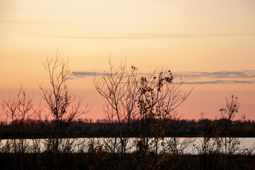 Sundown and sunrises. Blue sky with tints of purple and much clouds. Silhouettes of trees and grass are reflectioning in the river water. Background of heaven. Beautiful evening
