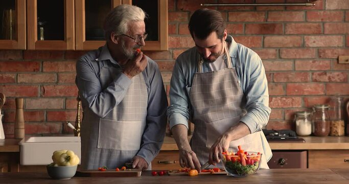 Happy two male generations family wearing aprons, enjoying cooking together in old-fashioned kitchen. Smiling old senior retired man preparing lunch with joyful grownup son on weekend at home.