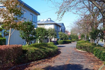 グリーンタウン,