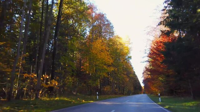 Landstraße durch eine Herbstwald, Bayern, Deutschland