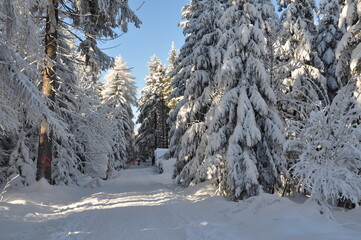 Ernstthal am Rennsteig