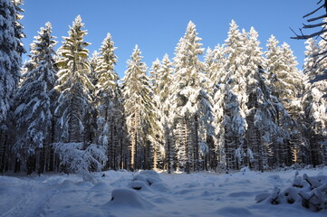 Ernstthal am Rennsteig