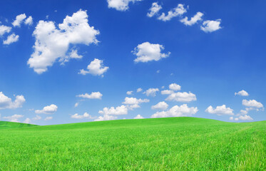 Obraz na płótnie Canvas Idyllic view, green field and the blue sky with white clouds
