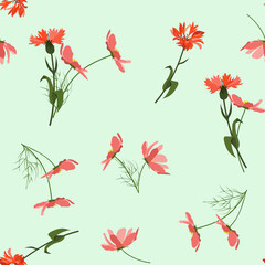 Seamless vector illustration with kosmeya flowers and cornflowers in a light background.