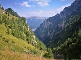 Fototapeta premium landscape in the mountains