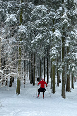 sportlicher Skifahrer im Thüringer Wald