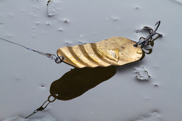 a bronze fishing spoon lies on the rim ice