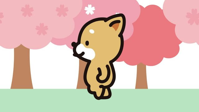 しば犬くんのお花見