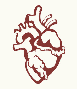 Heart. Vector drawing icon sign