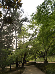 Jardín Korakuen, en Okayama, Japón