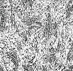 Grainy messy overlay of empty, aging, scratched wall. Lines, dots and spots structural texture. Cool and artsy faux leather background. Abstract vector illustration. Black isolated on white. EPS10