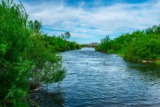 Landscape. A clear summer day. River. Clear blue sky. White clouds. Juicy, green grass. Trees. The current of the river. Nura River.