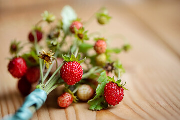 Bunch of wild strawberry twigs with red ripe berries on wooden background