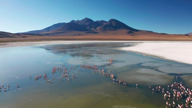 Sunrise aerial view of Laguna de Canapa with flamingo, Bolivia, Altiplano.