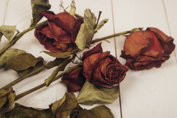 Withered dry roses lie on a white wooden background. Floral composition.