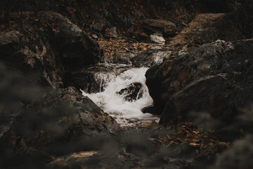 Waterfall  in forest