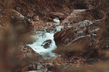 waterfall in the forest