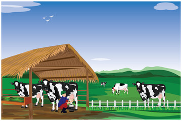 agriculturist Milk from cow at farm vector design