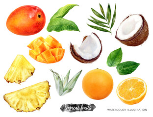 Pineapple orange mango coconut set watercolor illustration isolated on white background