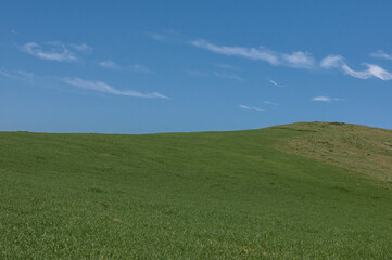 green hill and blue sky