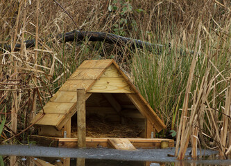 A straw-lined, hand-made duck house among the reeds lining the pond at Hirst Wood Nature Reserve is...