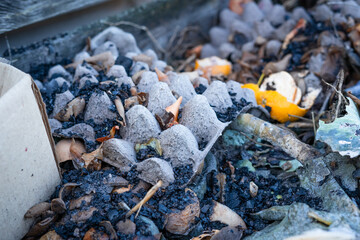 Using food and organic waste to fertilize the soil