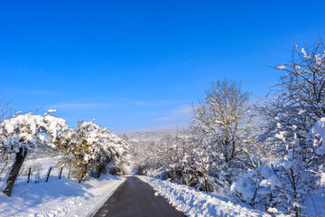 Hohentwielstrasse in Singen (Hohentwiel)