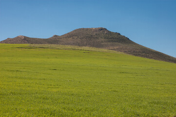 Fototapeta premium landscape with blue sky and clouds