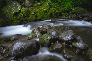 Fototapeta na wymiar Cool creek in the tropical jungle.
