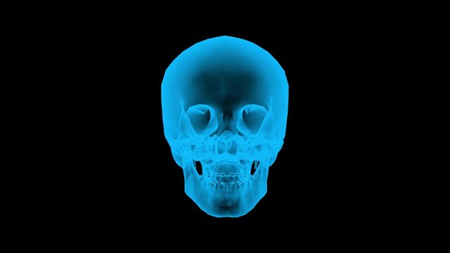 loopable of rotating Blue skeleton skull in x-rays style on black background.