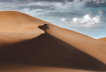 Fototapeta na wymiar Sandy desert and cloudy sky - horizontal image