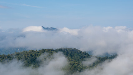Mountain forest with white clouds or fog at morning time