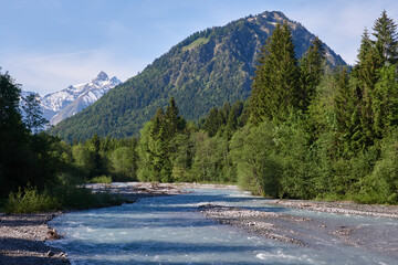 Bergsommer im mittleren Trettachtal