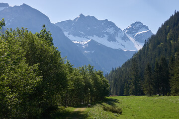Bergsommer im mittleren Oytal