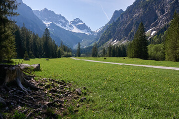 Bergsommer im mittleren Oytal