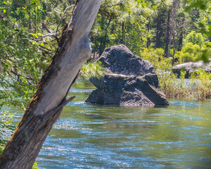 Obraz premium Fluss im Yosemite Nationalpark