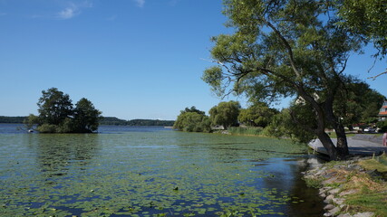 lake and trees