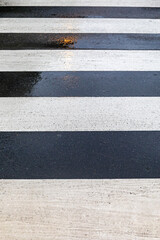 Fototapeta premium Wet Street Crossing Paint