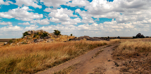 African landscape