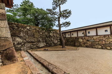 初夏の松代城跡の風景